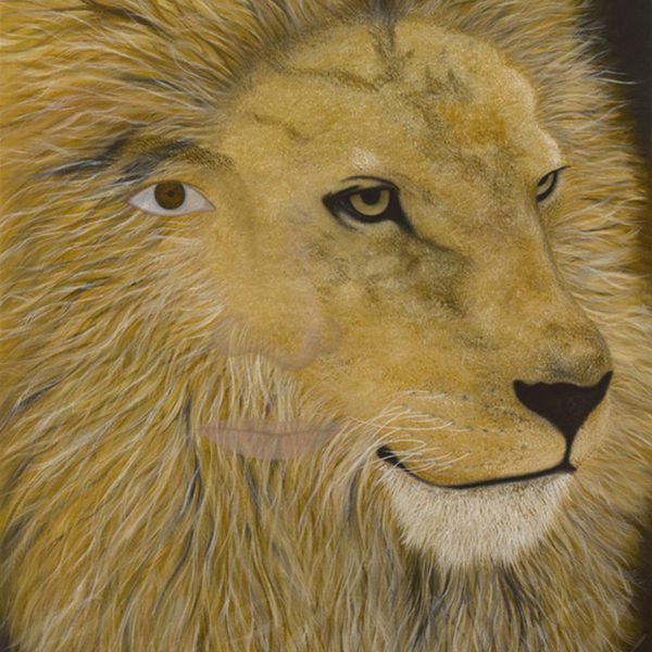 King of Glory II